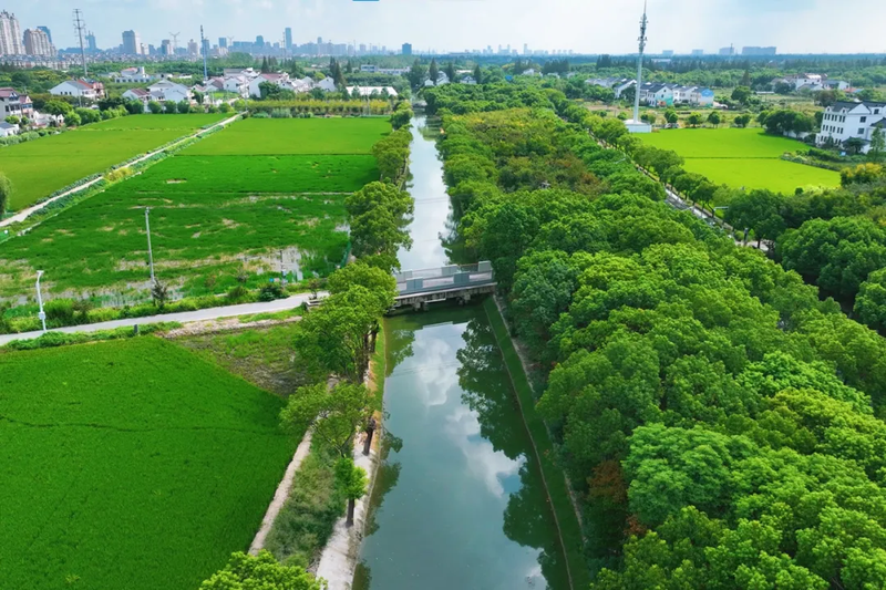 河道