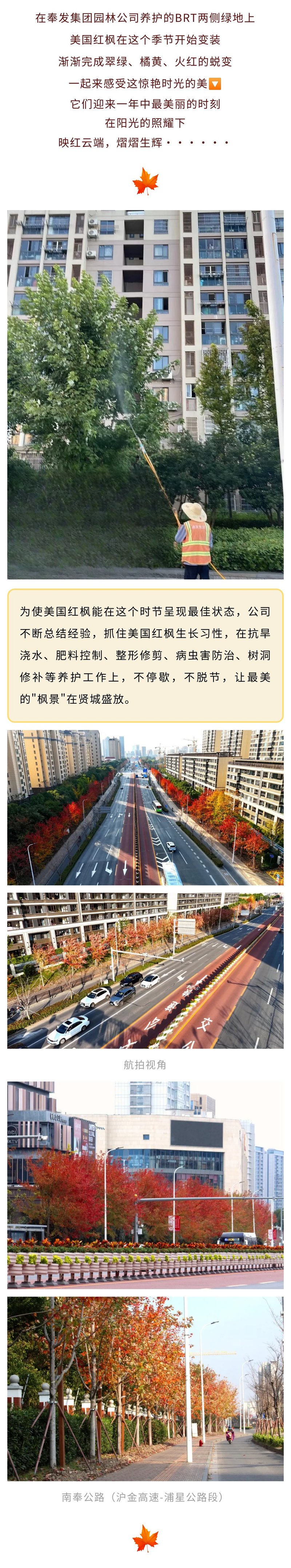 园林公司邀您一起感受惊艳时光的美