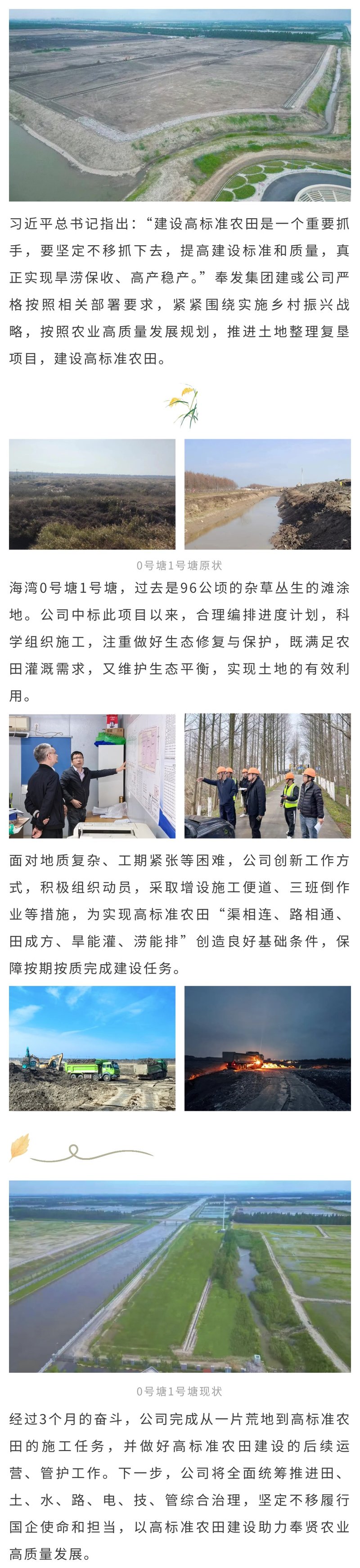 建彧公司垦造水田见成效，滩涂荒地变千亩良田