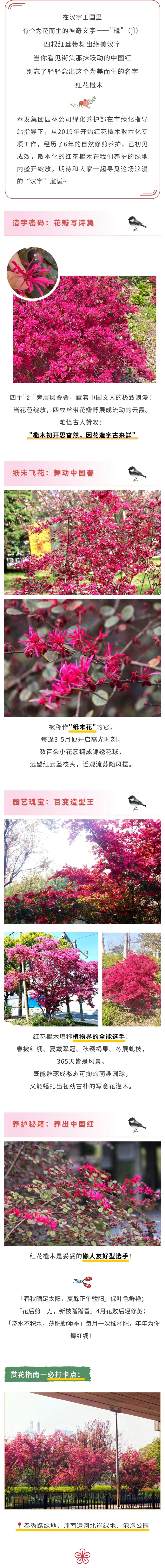 檵