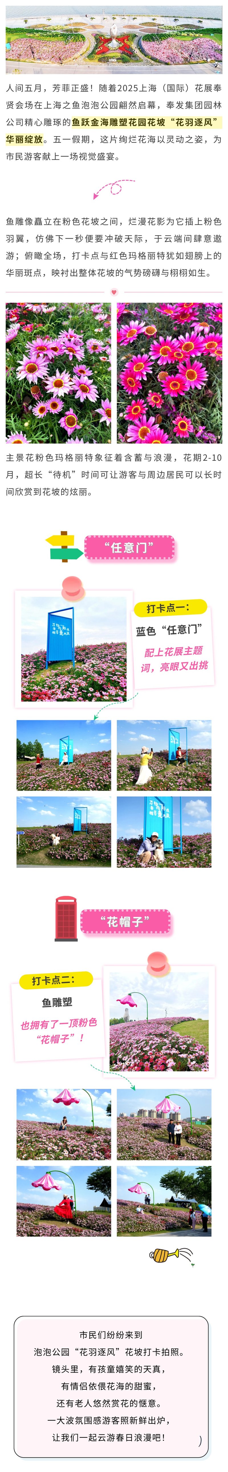 花羽逐风